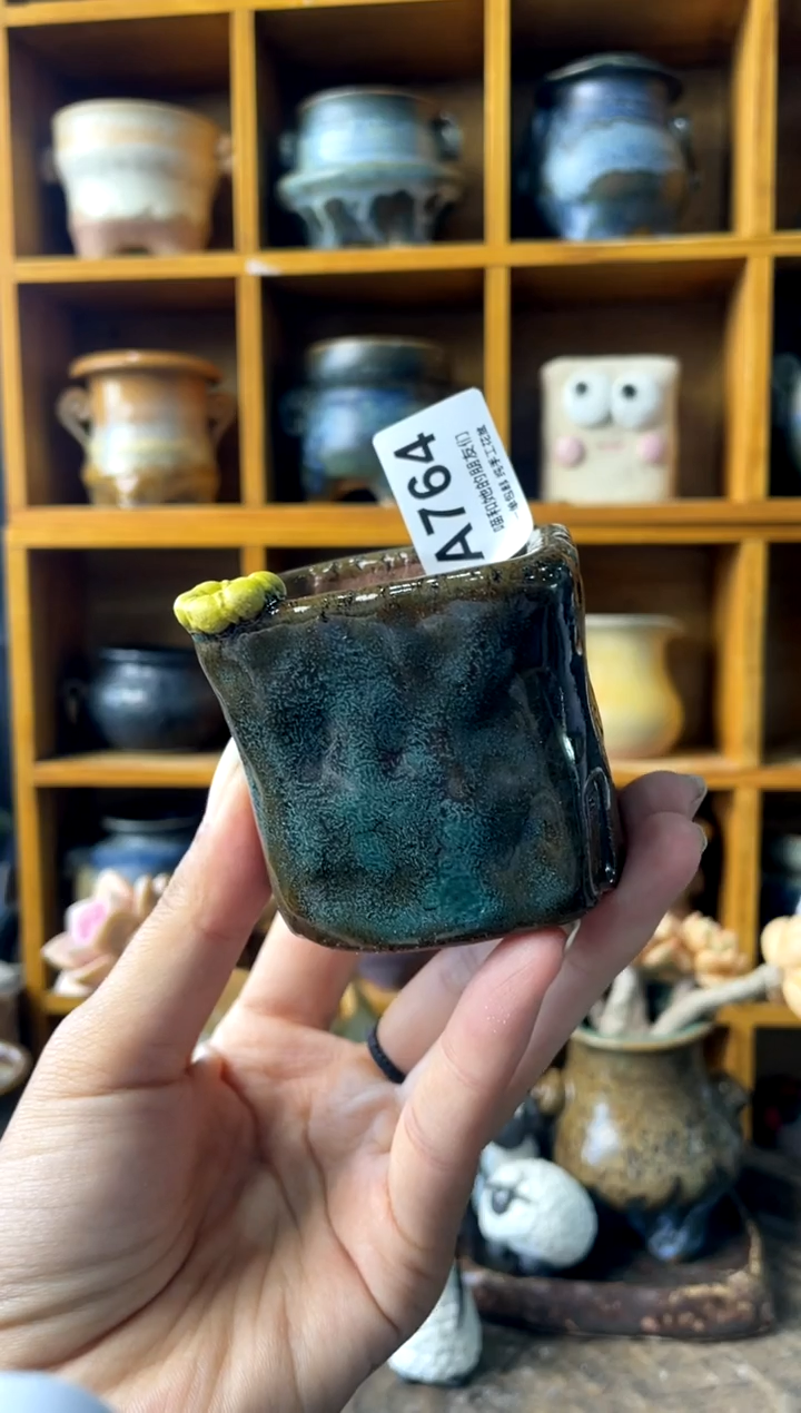 764内口4【多肉花盆多肉盆】