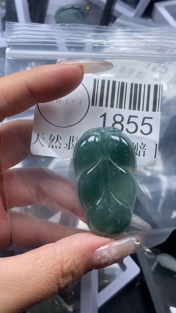 颈饰未镶嵌翡翠1855