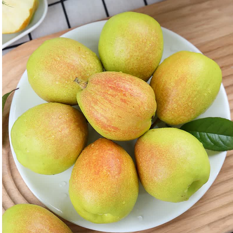 A1【贵州.遵义同城】新疆库尔勒香梨现货正宗香梨薄皮新鲜水果特级梨子带箱7/14斤装