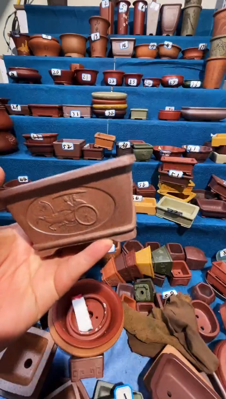 【闪购商品】紫砂紫砂花盆10*5.5