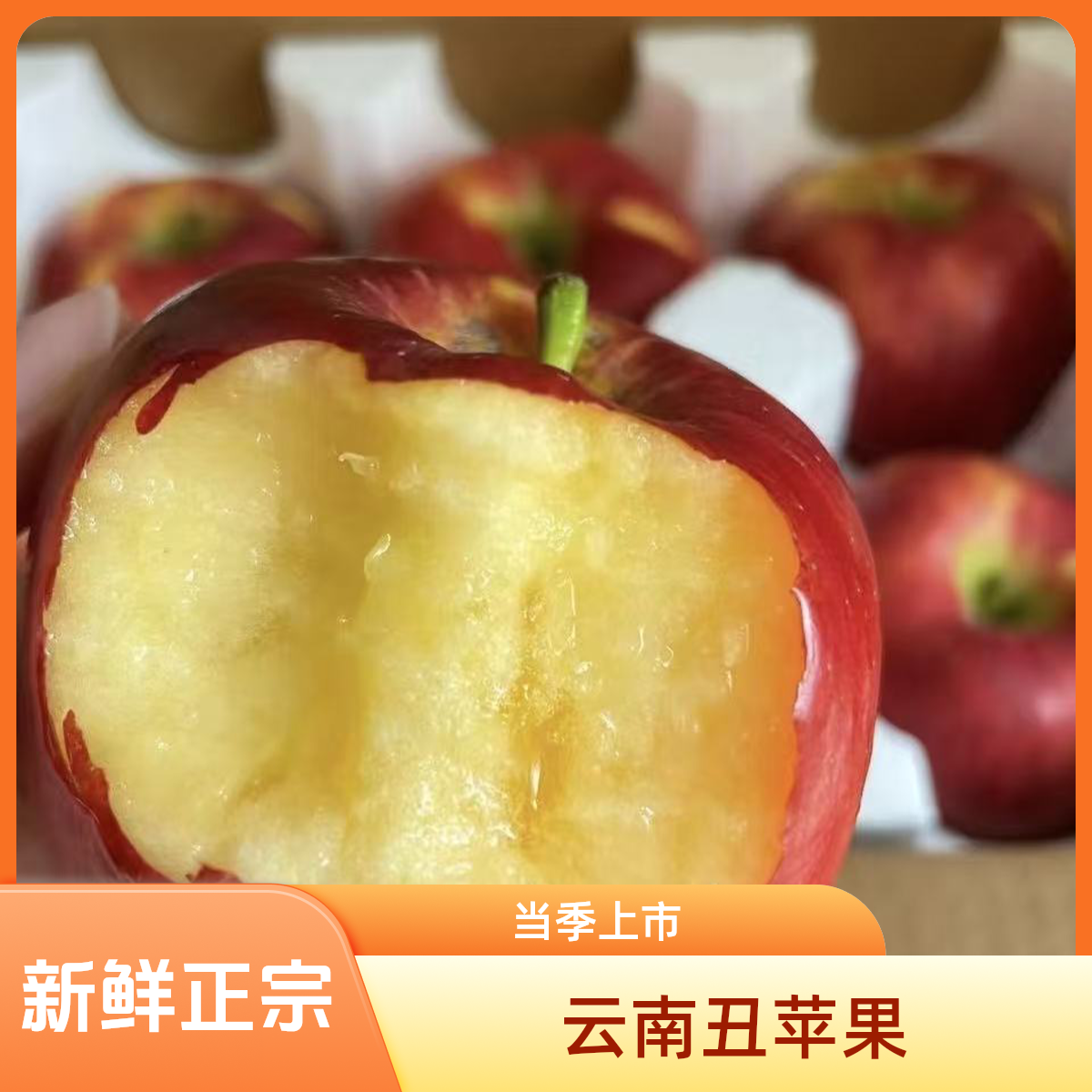 现摘云南昭通市丑苹果水果新鲜整箱当季10斤装红露富士糖心苹果