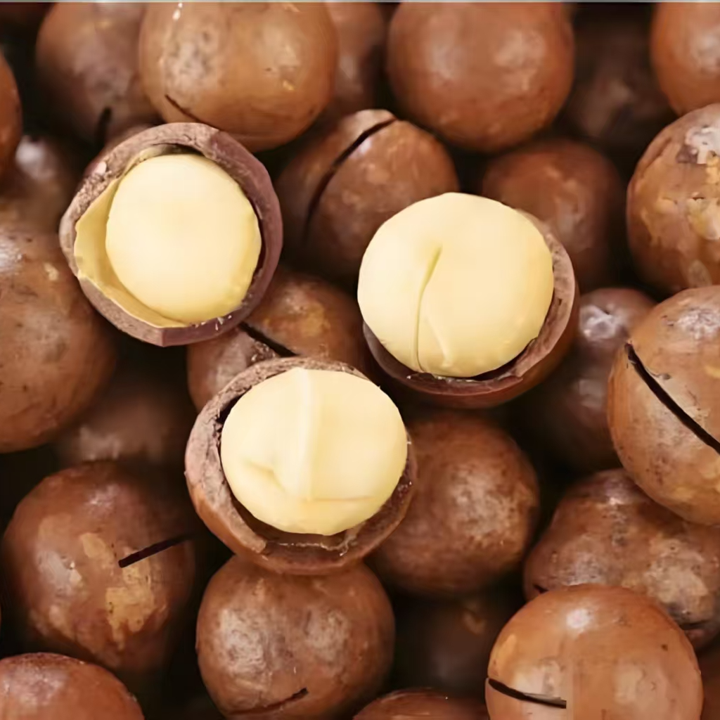 夏威夷果大颗粒奶香味饱满酥脆开口零食赠送开壳器