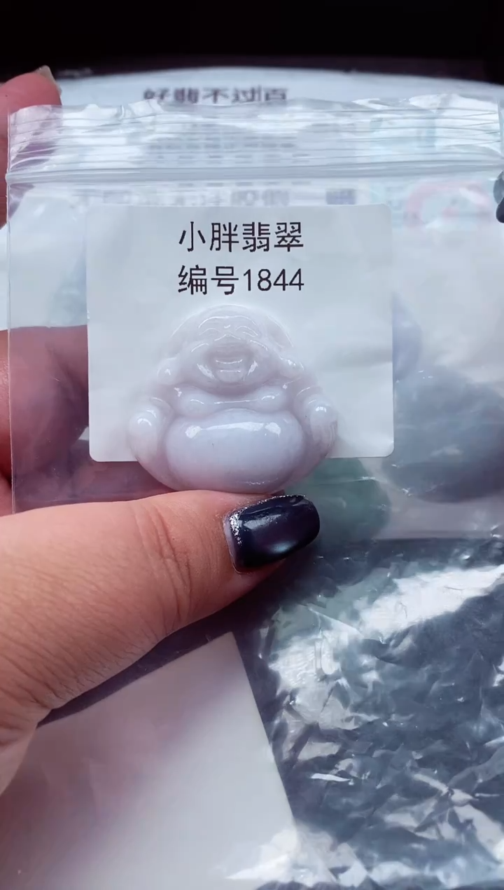 颈饰未镶嵌翡翠缅甸天然A货翡翠1844