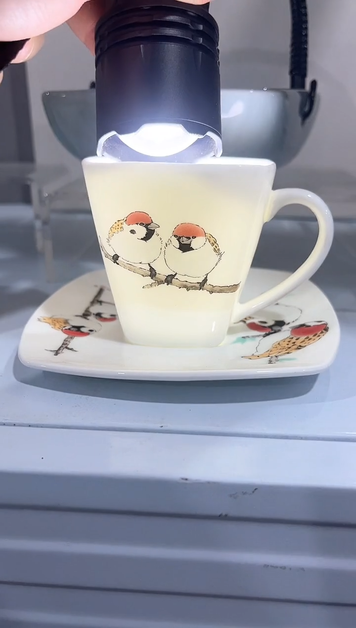 杯子骨瓷（原盒）咖啡杯碟一套