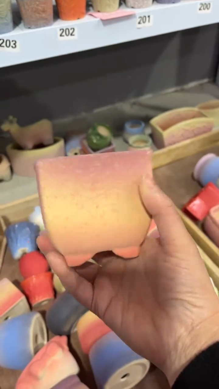 【闪购商品】陶内口 8  内高7