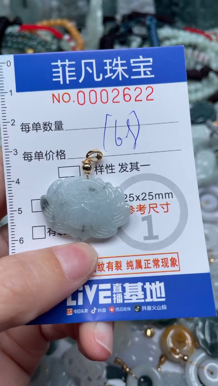 【闪购商品】翡翠颈饰未镶嵌00..2622