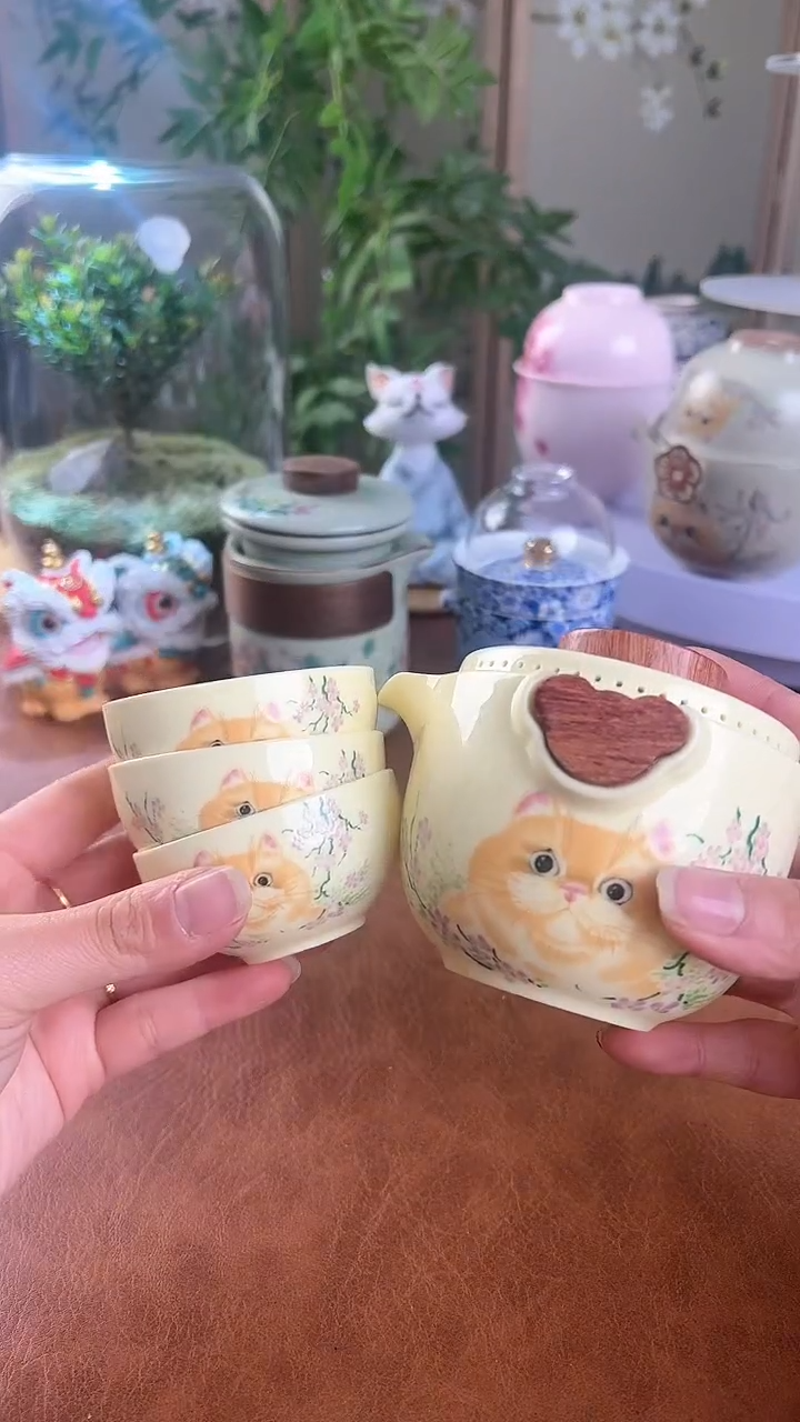 【闪购商品】老实人茶具铺快客