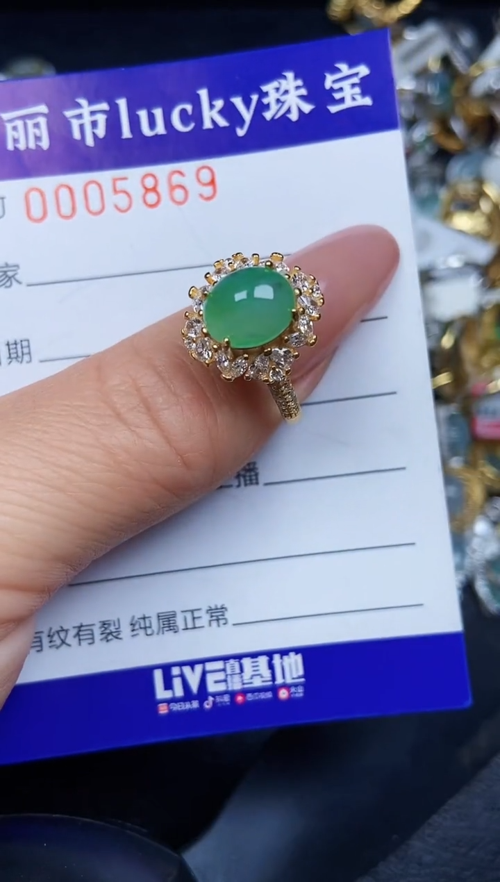 翡翠银S925镶嵌颈饰5869