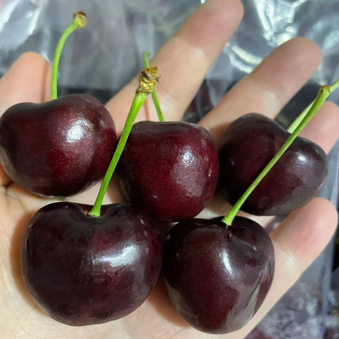 【闪送到家】智利海运2J纯冰车厘子（公认排名第三）88元2斤 弹牙脆 高糖 8甜2酸 不腻甜 果味浓Bing宾智利