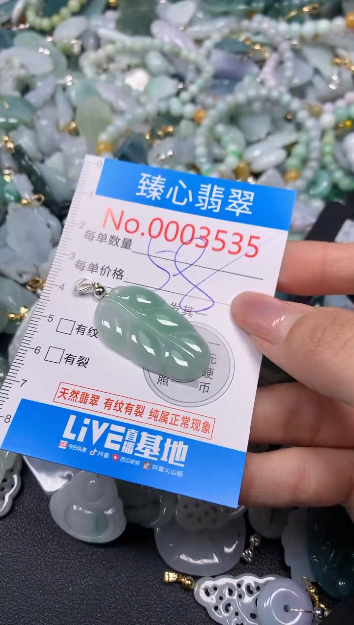 【闪购商品】翡翠颈饰未镶嵌含绳0003535