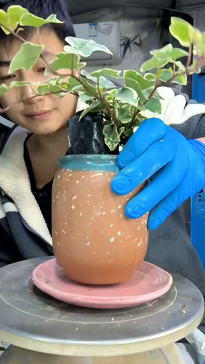 森*中青园艺一物一拍花94