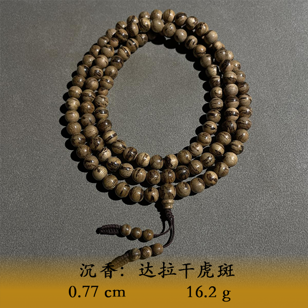  LSTL天然野达拉干虎斑B817