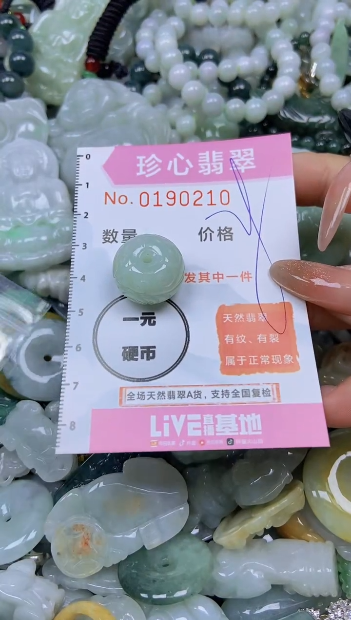 翡翠未镶嵌颈饰闪购链接0190210