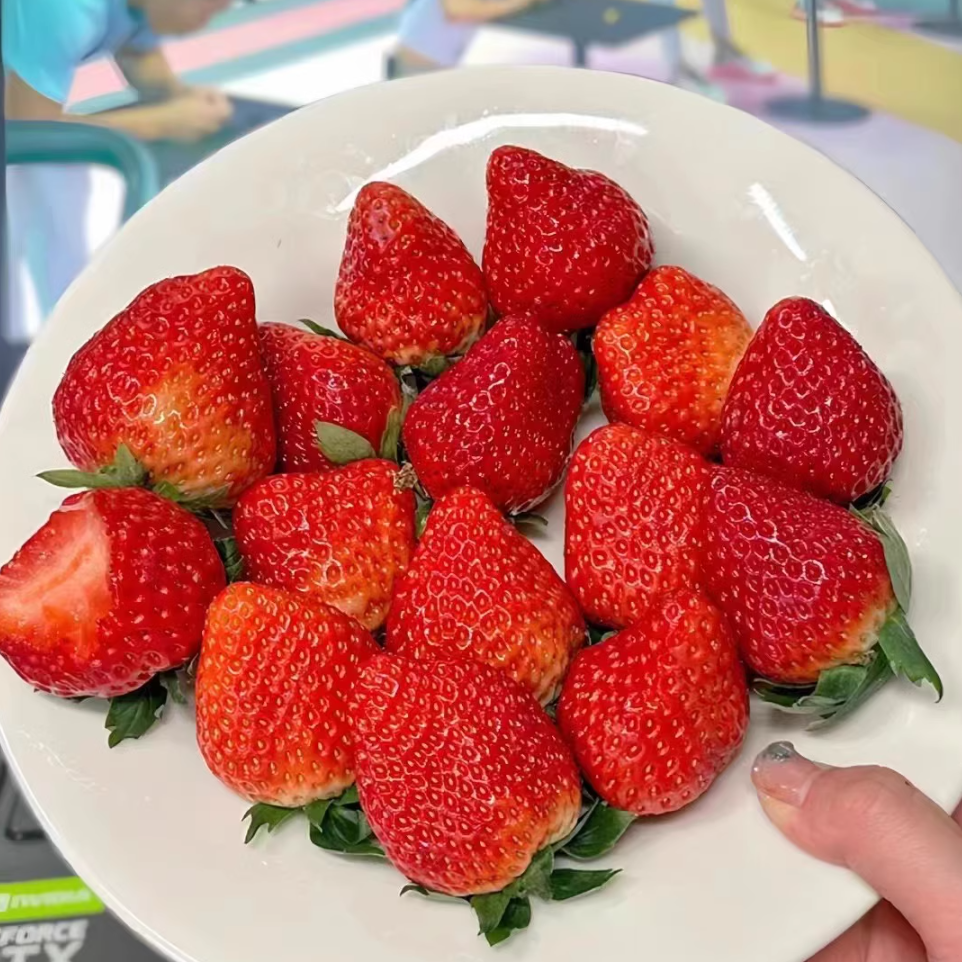 上海小时达当日达  新鲜水果上海红颜奶油草莓上海同城包邮