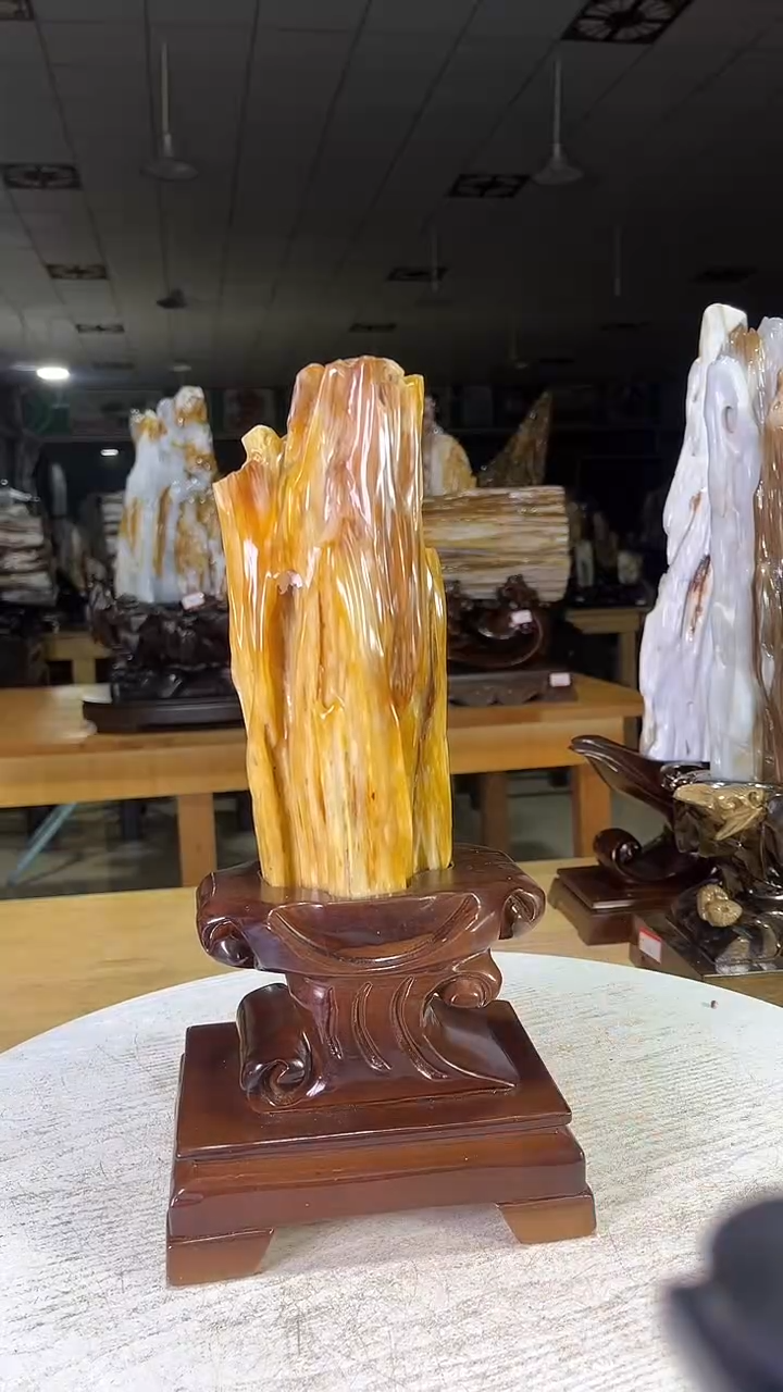 未镶嵌珠宝奇石硅化玉500