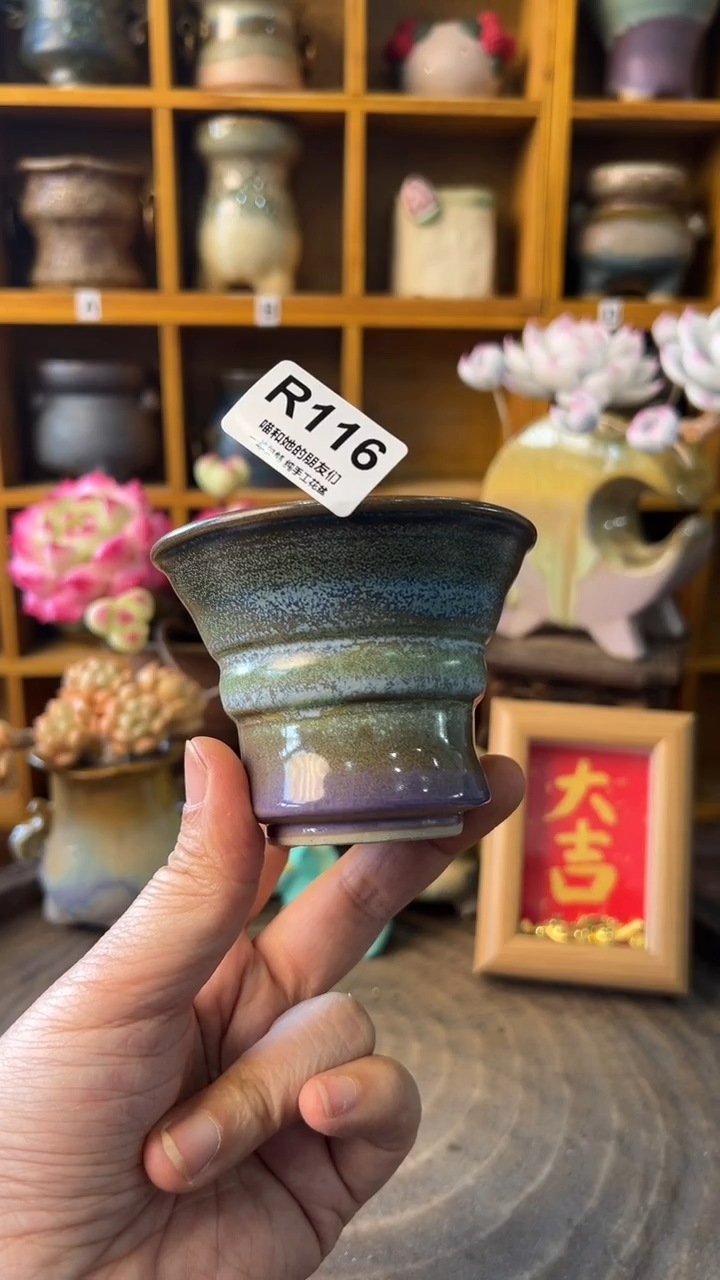 116 内口7【多肉花盆多肉盆】