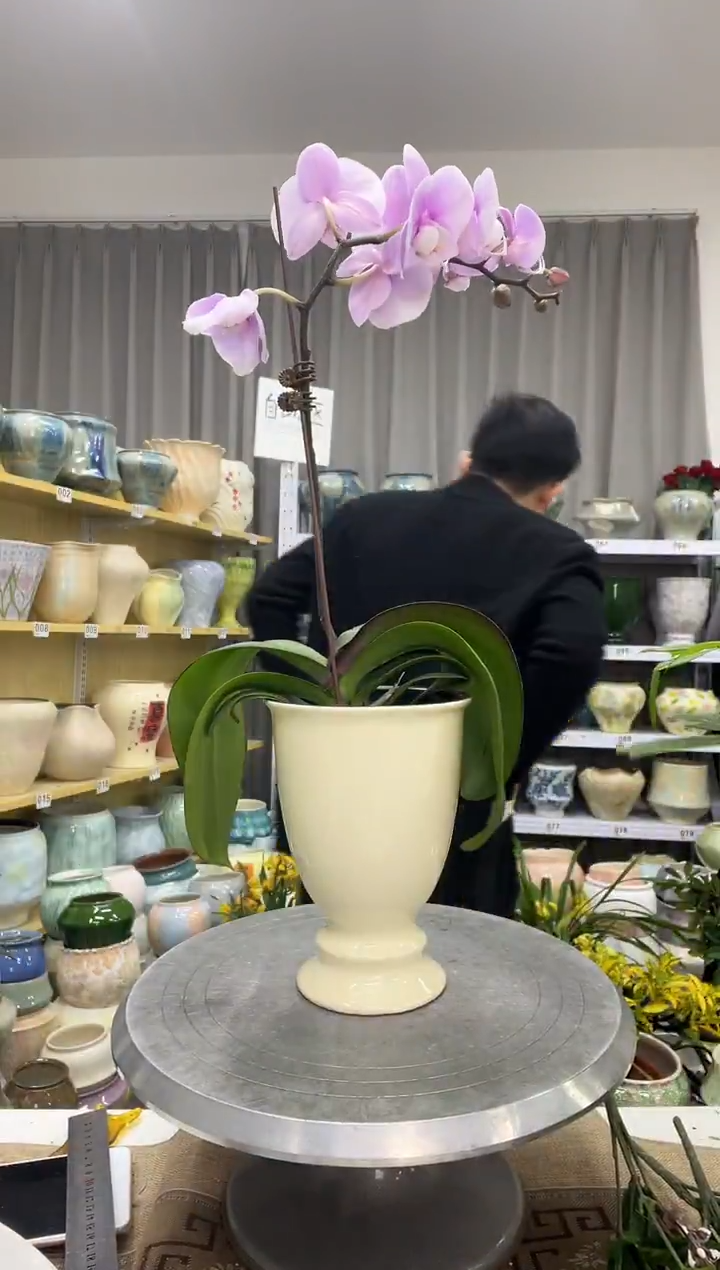 【12.23】花盆链接 高：17  口：11