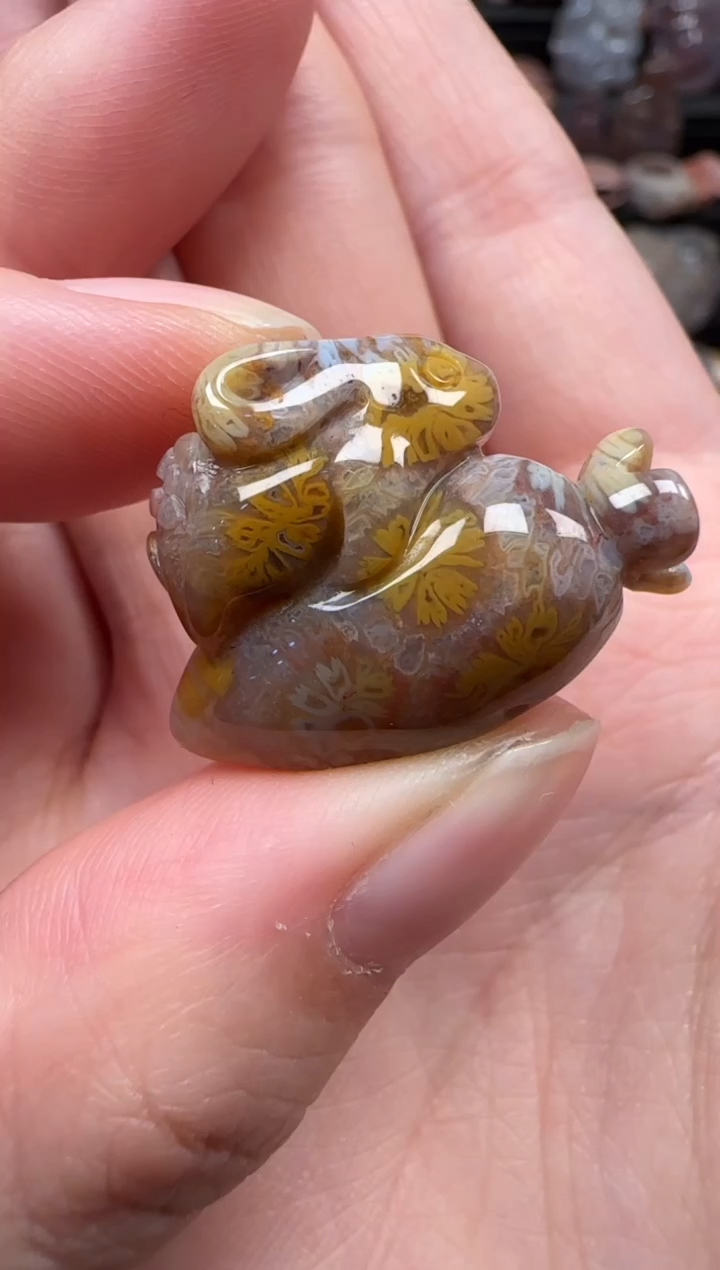 颈饰未镶嵌硅化珊瑚（珊瑚玉）825