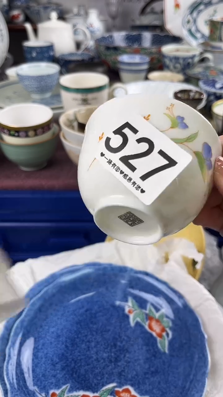 S****^        527 