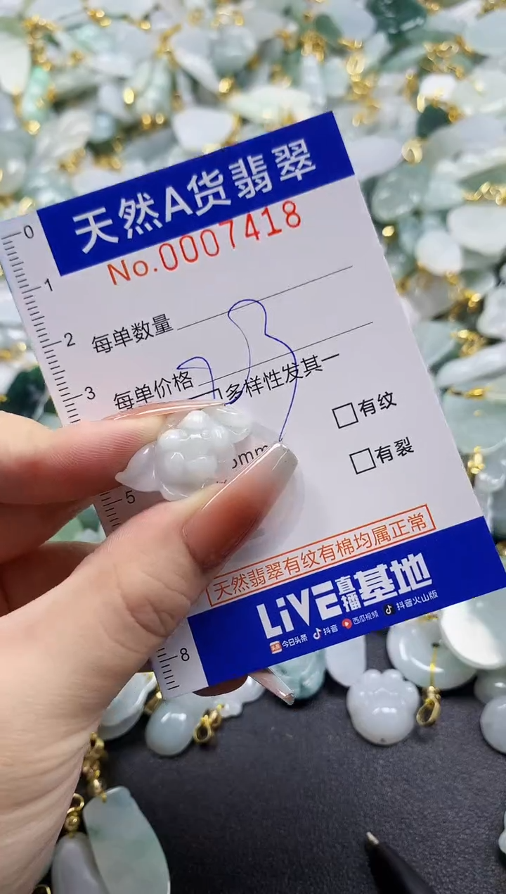 颈饰未镶嵌翡翠天然A货翡翠