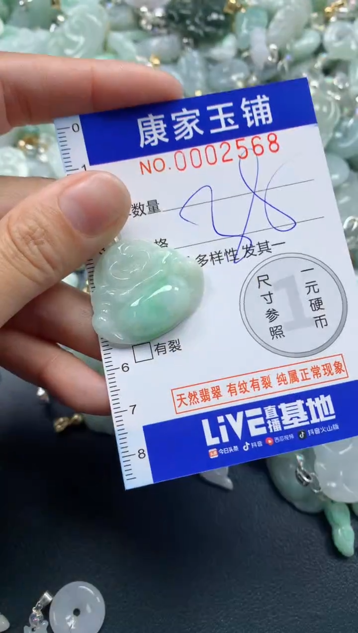 颈饰未镶嵌翡翠2568