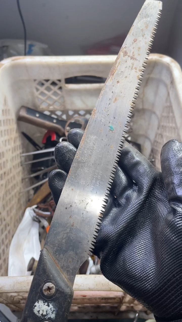 镁用****3阿古百货商行闪购