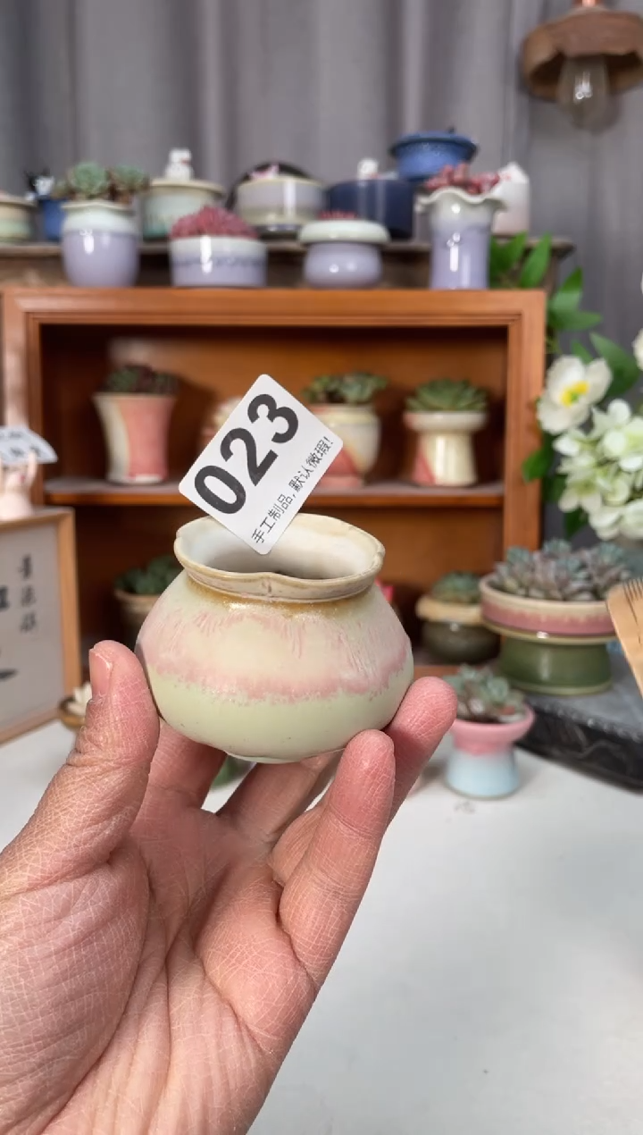 瓷片023小芳直播编号