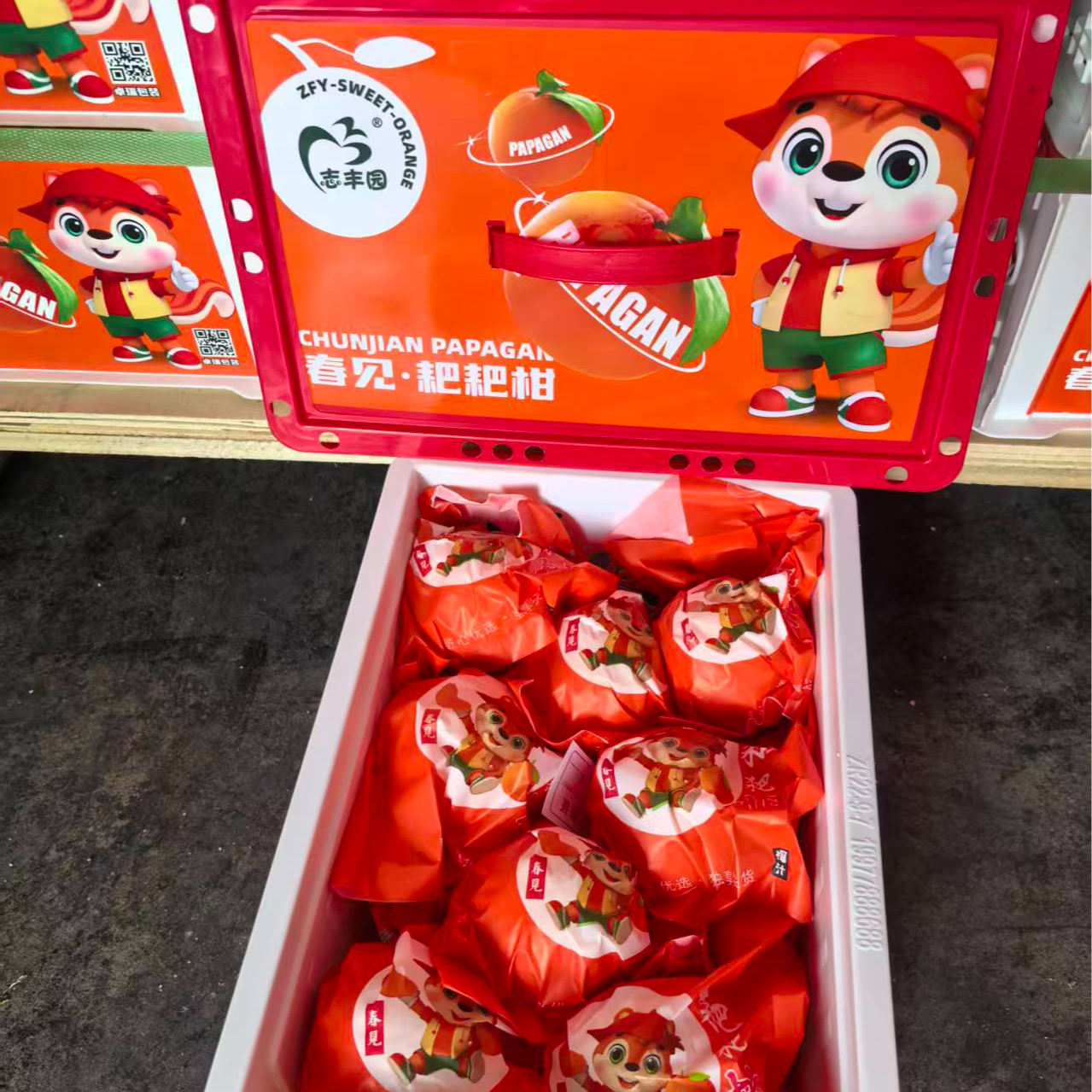 【江浙沪次日达】志丰园春见耙耙柑净重4.3斤酸甜爆汁颗颗饱满（11）