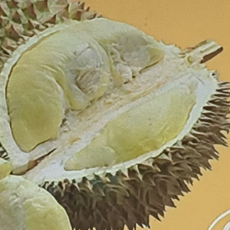 泰国新鲜金枕榴莲核小39一斤一果一拍金枕泰国