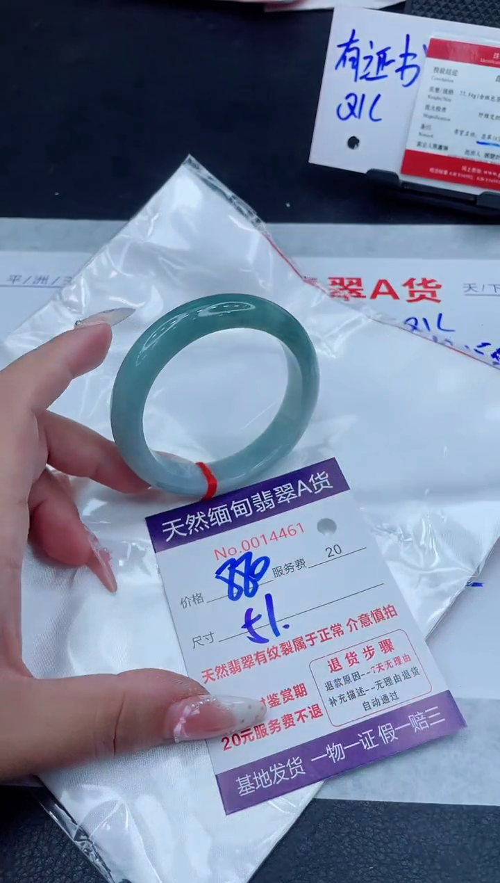 未镶嵌手镯翡翠880.00