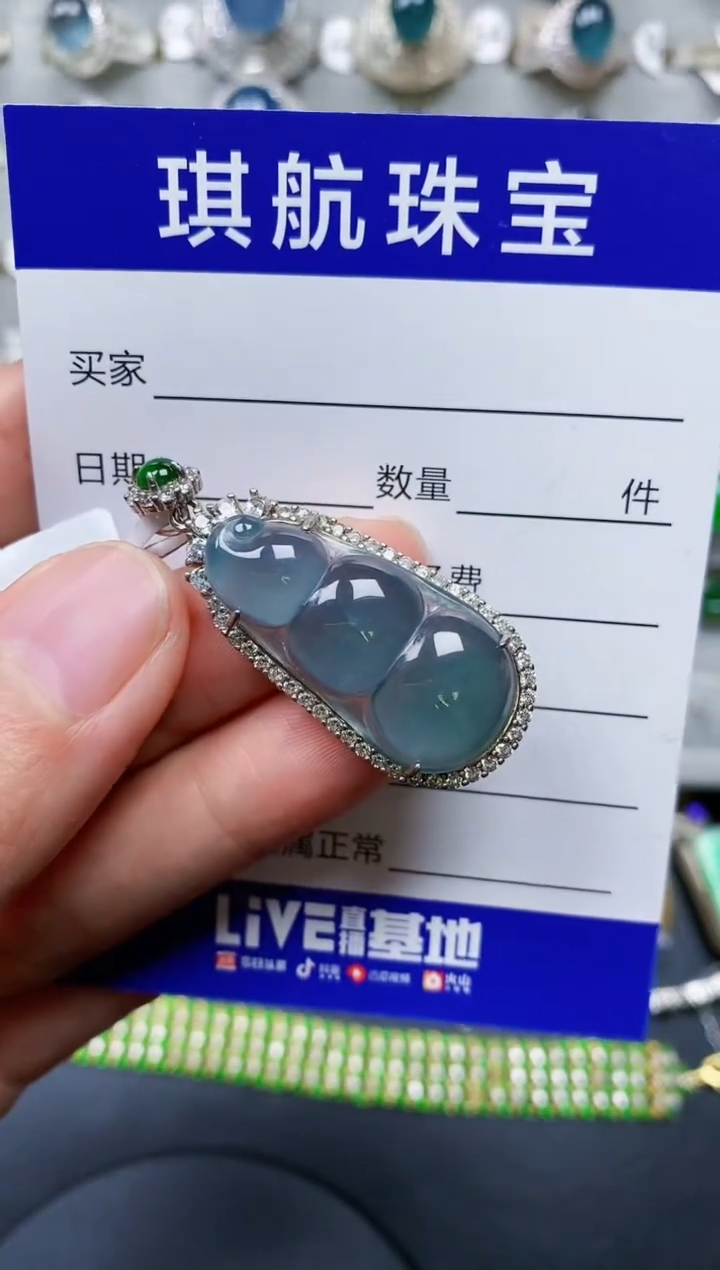 【闪购商品】翡翠颈饰银S925镶嵌0218