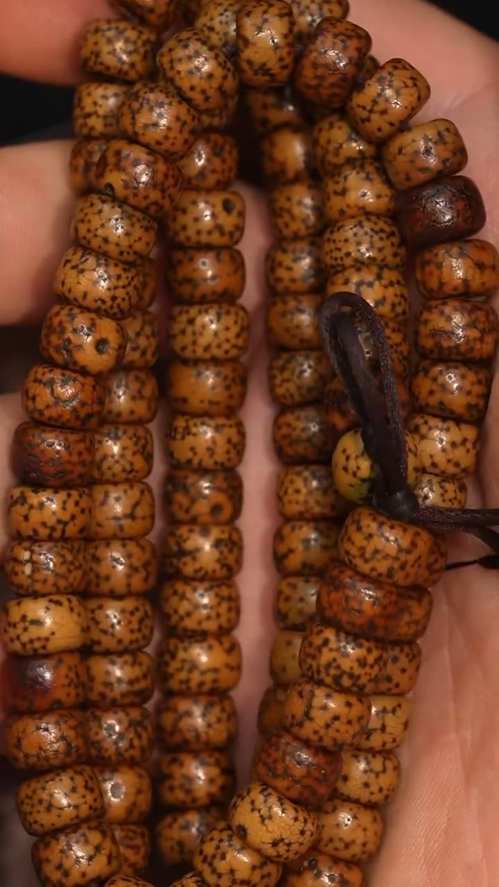 冲赛康胡子哥，藏传念珠186