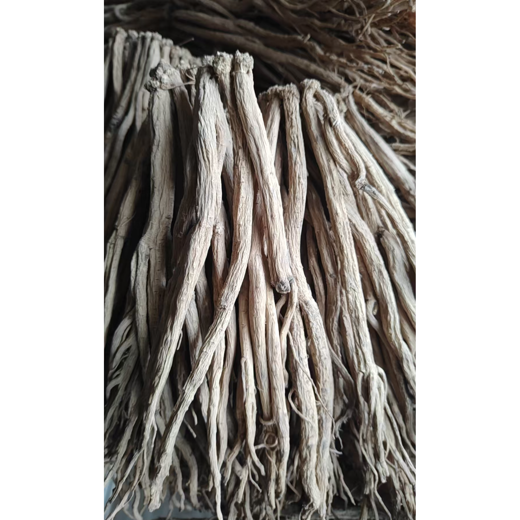 甘肃产地直发无硫大条党参干货煲汤泡水炖肉养生滋补品（中条）