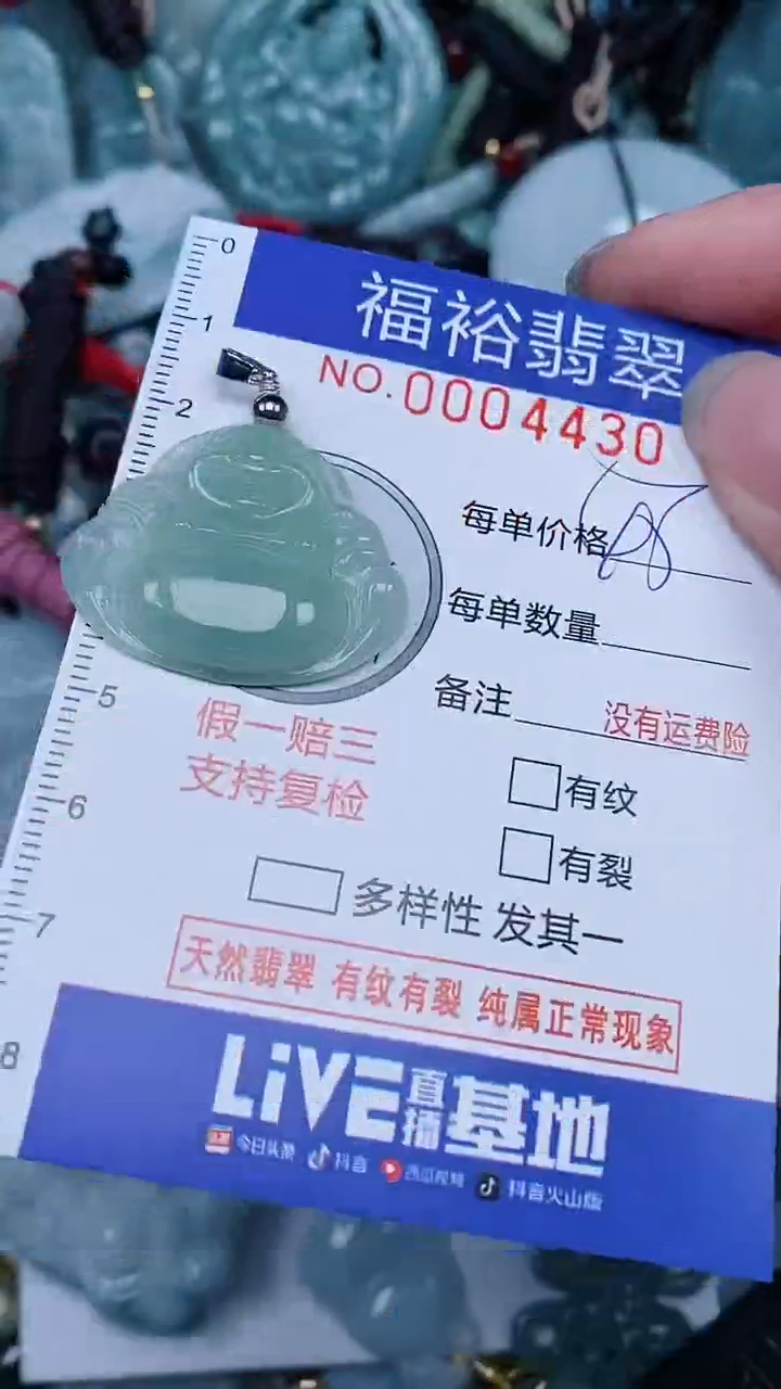 翡翠未镶嵌颈饰...0004430