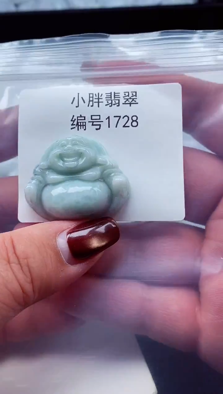 颈饰未镶嵌翡翠缅甸天然A货翡翠1728