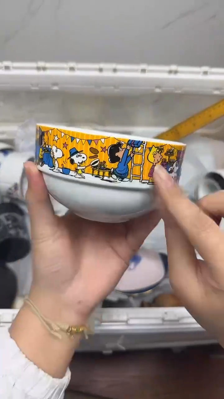 【闪购商品】256回流瓷器，默认微瑕18.8包邮