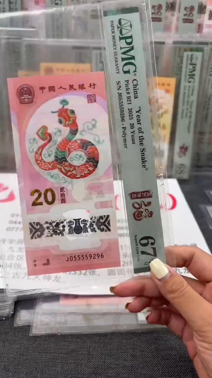 塑料蛇钞pmg055559296福利T