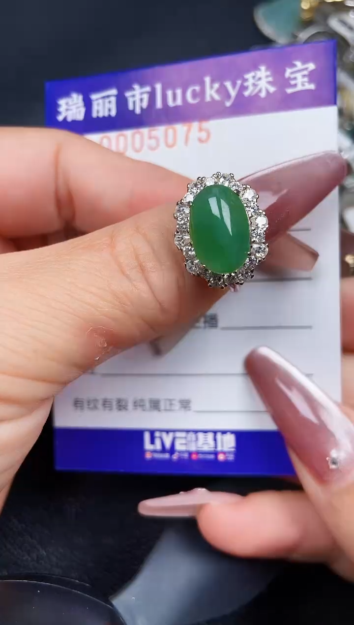翡翠银S925镶嵌颈饰5075