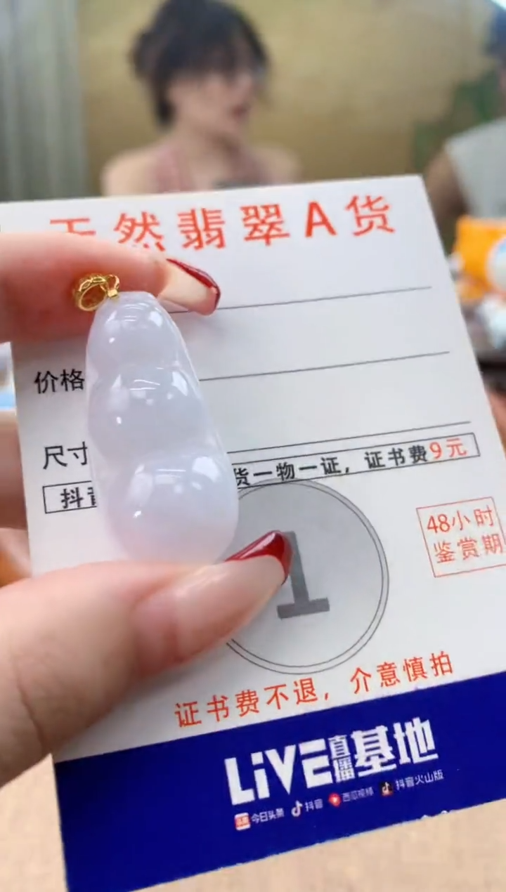 颈饰未镶嵌翡翠天然A货翡翠挂件