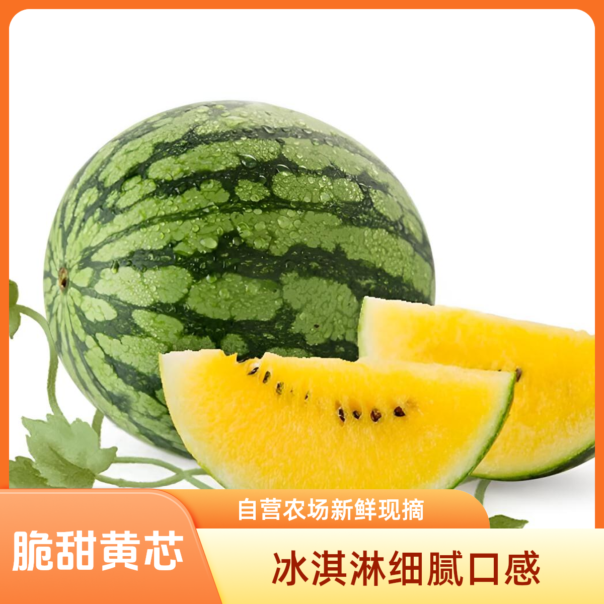 【冰淇淋西瓜】3斤半黄西瓜黄壤黄芯小西瓜脆甜好吃新鲜孕妇小孩放心吃西瓜同城送浙江省
