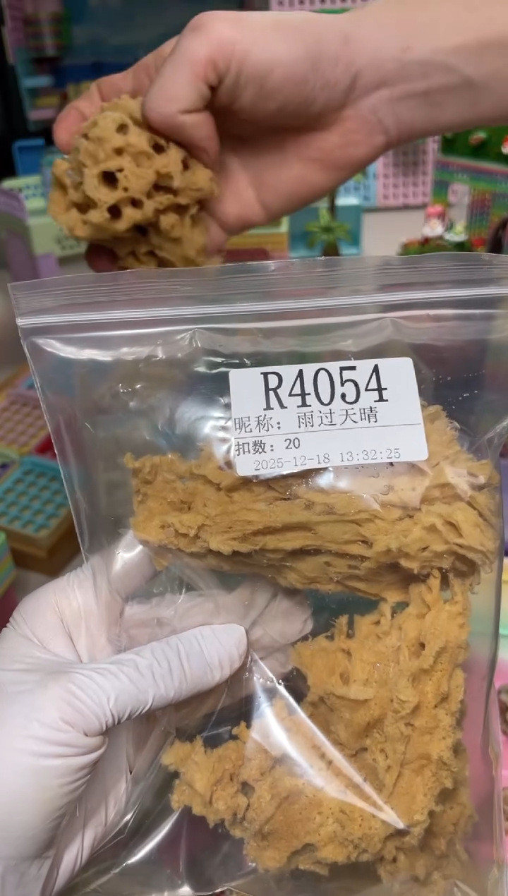 雨**晴陌派帝国寄居蟹4054