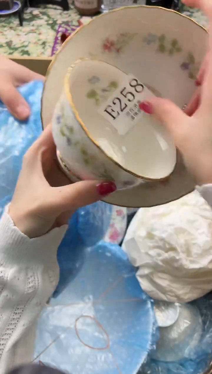 瓷片鲈*       E258