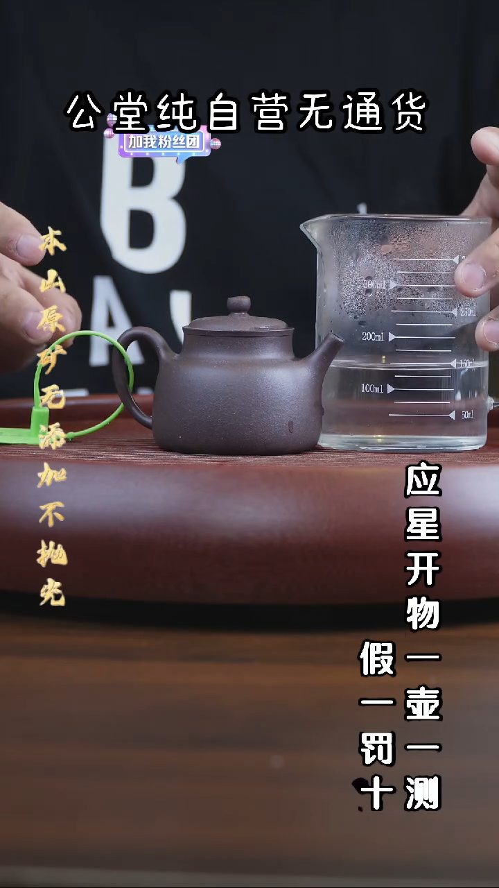 茶壶紫砂大水潭天青泥 言心德钟 150cc