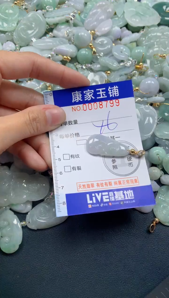 颈饰未镶嵌翡翠8799