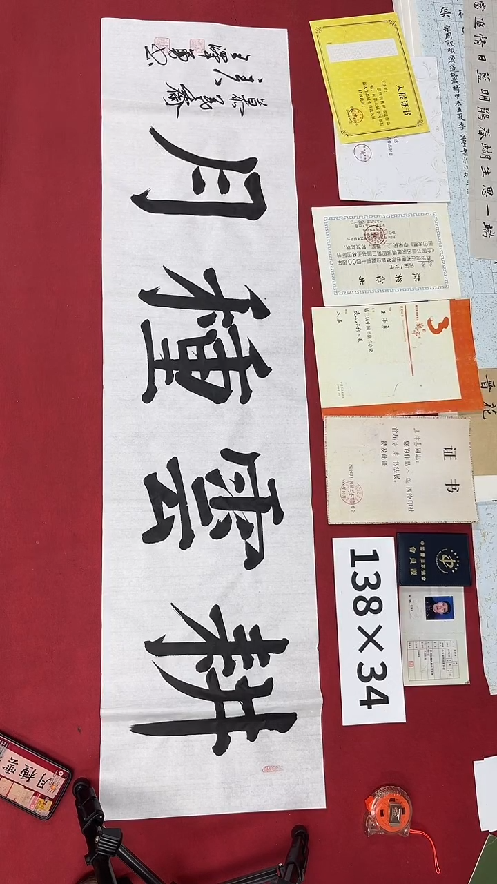 书法王泽勇老师书法作品016