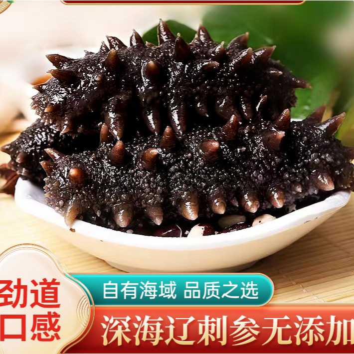 【送礼首选】老四排刺糯弹参王7-12头/斤深海即食辽刺参大连参精选