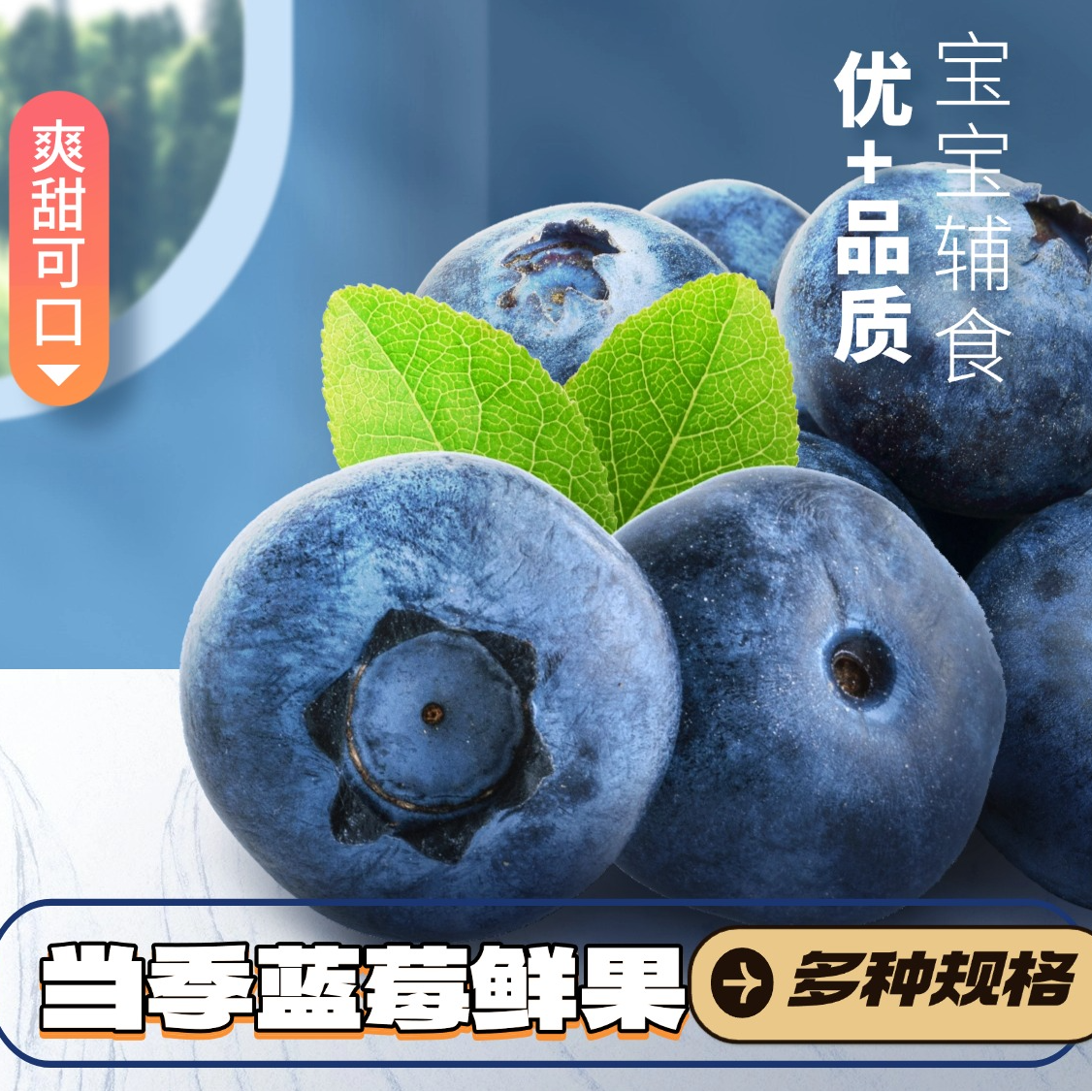 【露天山地蓝莓】贵州莱克西750g装 新鲜现摘 当季水果顺丰空运包邮