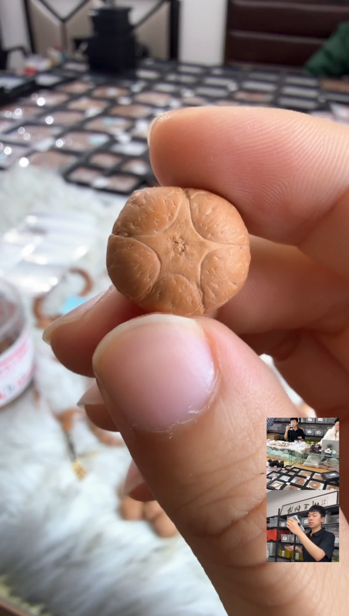 吊坠凤眼菩提4084三通