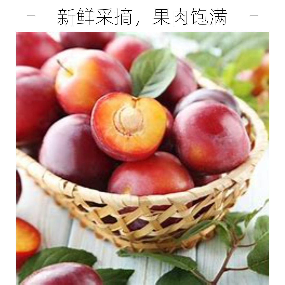 【乌海同城】纯甜红李子19.9一斤  小时达