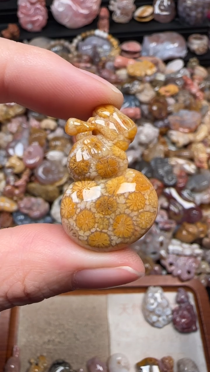 颈饰未镶嵌硅化珊瑚（珊瑚玉）343